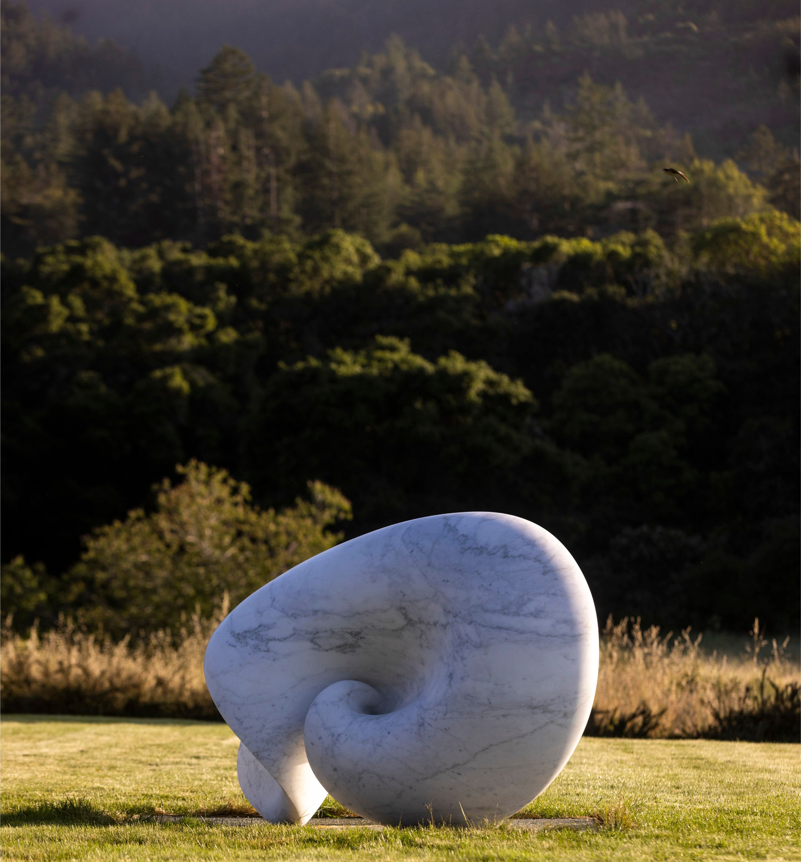 Echo sculpture
